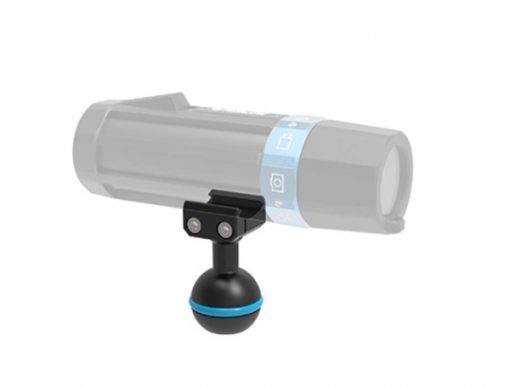 PARALENZ BALL MOUNT